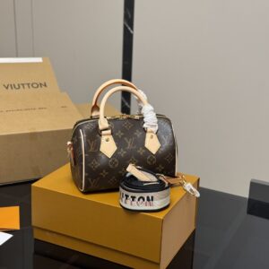 Louis Vuitton pillow bag