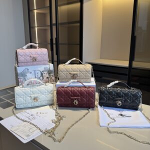 Lady Dior - 5 Colors