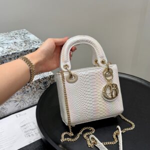 Python-Print Lady Dior Bag