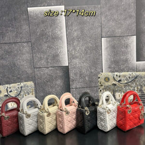 Lady Dior Mini (3-Grid) - 7Colors